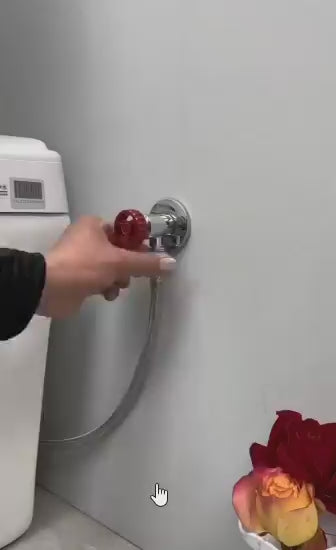 Higijenski set ( česma sa ventilom) za WC šolju